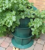 Potato Planters Potato Planters