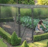 Walk In Fruit & Vegetable Cages Walk In Fruit & Vegetable Cages