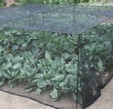 Low Height Vegetable & Fruit Cages Low Height Vegetable & Fruit Cages