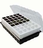 Self Watering Propagators Self Watering Propagators