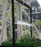 Grow Lights Grow Lights