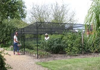 Fruit Cages