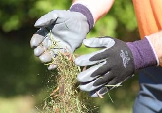 Garden Tools & Accessories