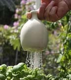 Greenhouse Watering Greenhouse Watering