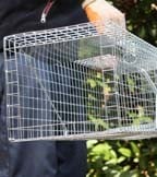 Humane Pest Control Traps Humane Pest Control Traps