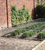 Low Height Vegetable & Strawberry Cage Kits Low Height Vegetable & Strawberry Cage Kits