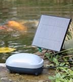 Pond Care Pond Care