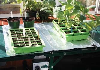Propagation