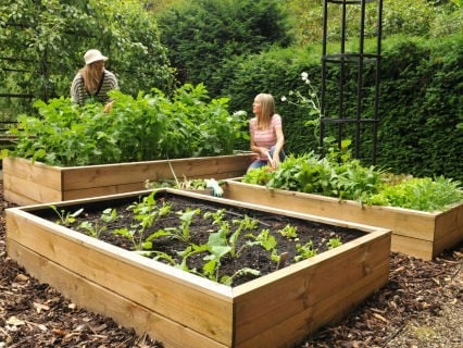 Raised Beds & Planters
