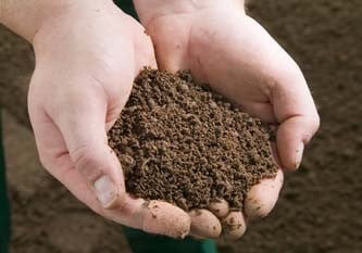Topsoil & Bark