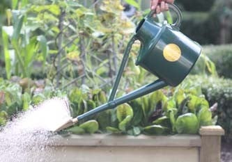Watering & Pond Care