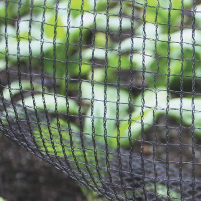 How to Protect Your Plants with Garden Netting