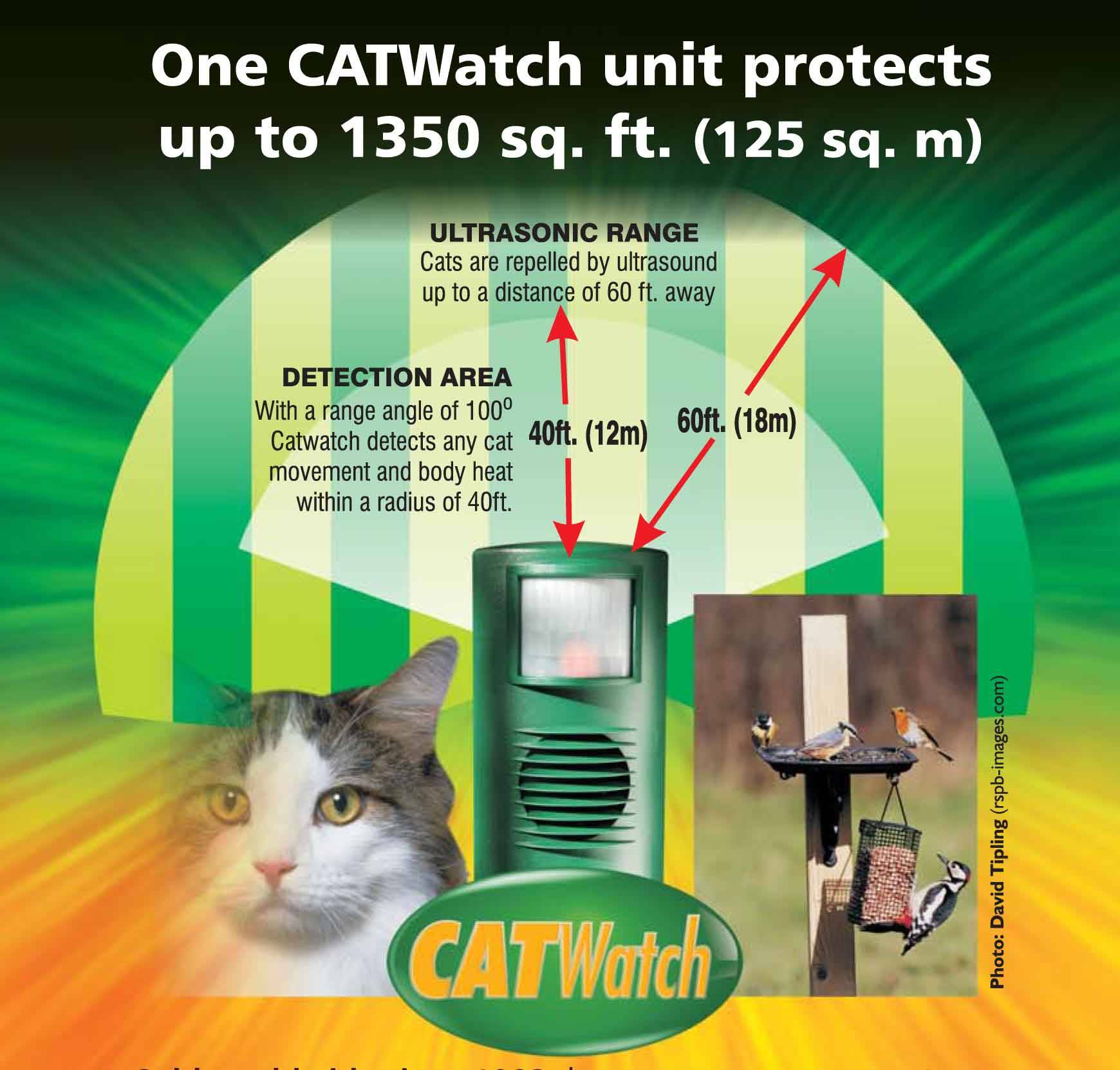 Catwatch Infographic