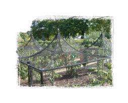 Steel Fruit Cage at RHS Wisley
