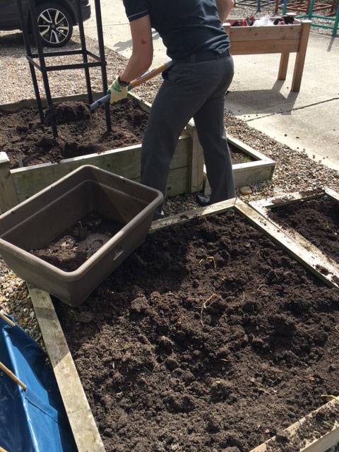 Filling Raised Beds 2
