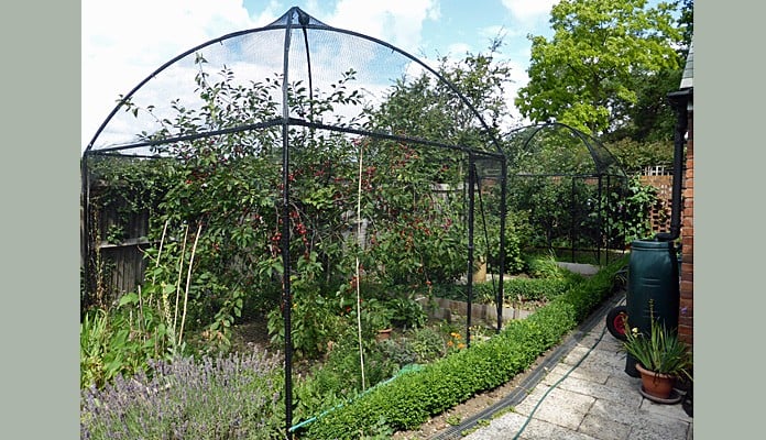 3m x 3m Dome Roof Steel Fruit Cage, Mr and Mrs Redpath - Middlesex  