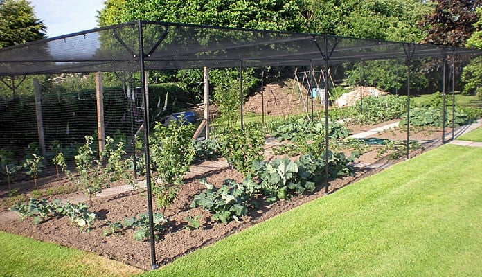 15 x 7m Bespoke Steel Fruit Cage, Mr Haigh - North Yorkshire