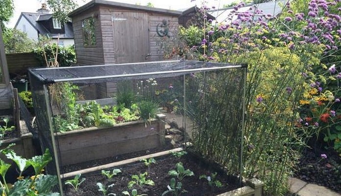 Superior Raised Beds and Vegetable Cage, Mr S - Kent