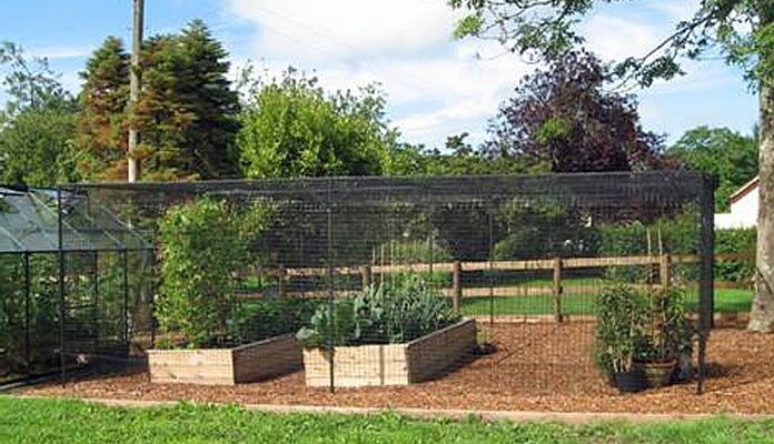 7m x 6m Bespoke Sloping Steel Fruit Cage with Deer Netting, Mrs Joyner - Gwent