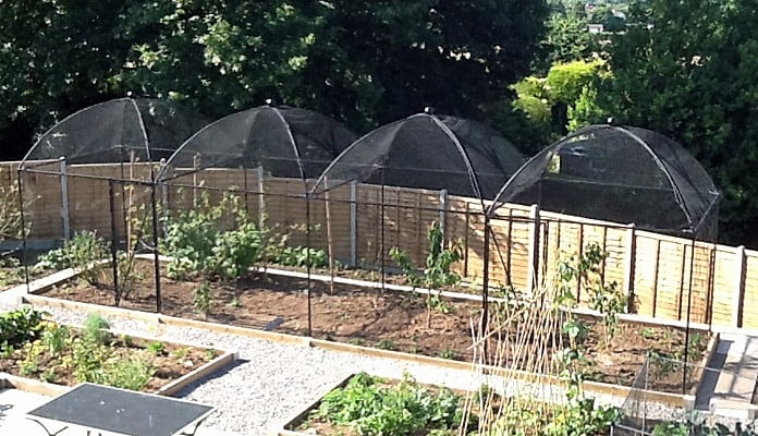 2.5m x 10m Dome Roof Steel Fruit Cage, Ms Burnett - Gwent