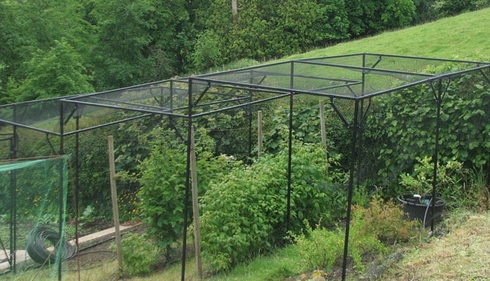 Stepped Fruit Cage