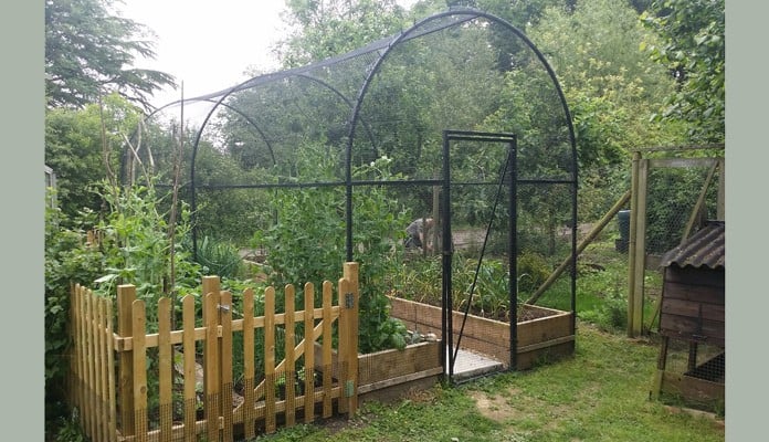Fruit Cage Steel Roman Arch 2 After