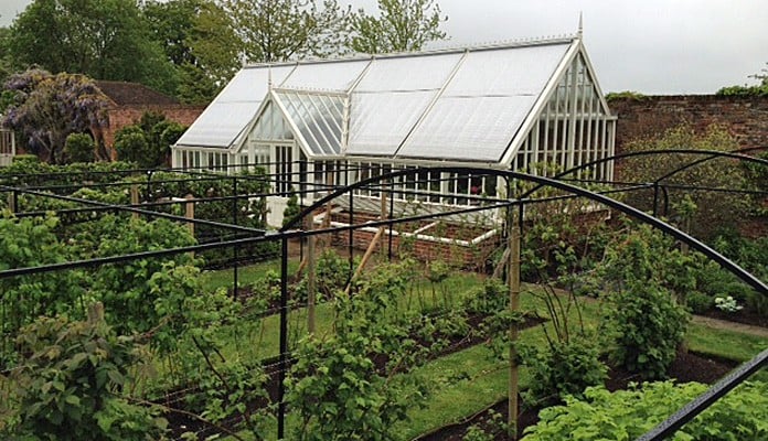 Curved Steel Fruit Cage 1