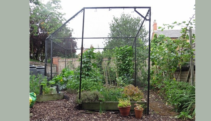 4.7m x 3.3m Bespoke Angled Steel Fruit Cage, Mrs Collings - Nottinghamshire