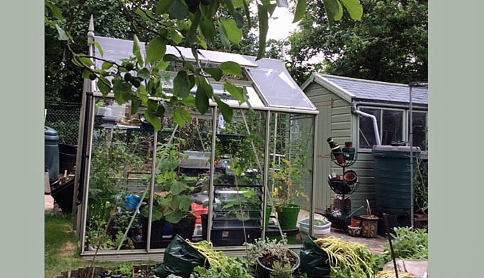 6ft x 8ft Willow Grey Greenhouse, Jan - Kent
