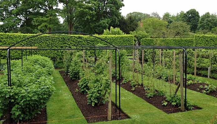 Curved Steel Fruit Cage 3