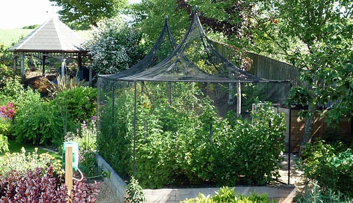 3m x 6m Peak Roof Steel Fruit Cage, Mr Spelman - Hampshire