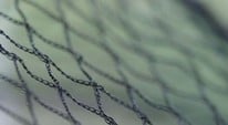 Bird Netting