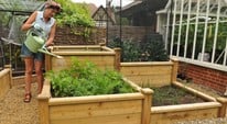 Crop Rotation