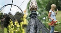 Fruit Cage or Cat Run?