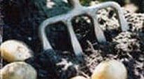 Garden Tools