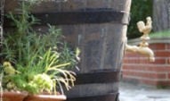 Garden Watering
