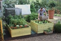 Growing Advice