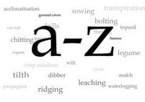 Jargon Buster