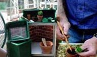 Leggy Plants from the Propagator