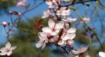 March