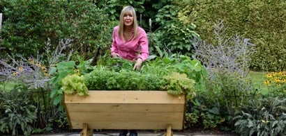 Raised Bed Planting
