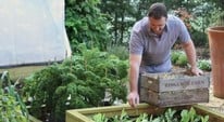 Raised Bed Positioning