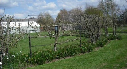 Ryton Gardens
