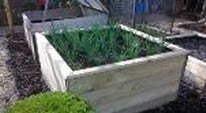 Stephanie's Kitchen Garden Diary April 2013
