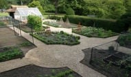 Stephanie's Kitchen Garden Diary - August 2005 