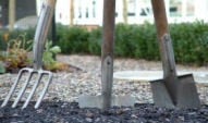 Stephanie's Kitchen Garden Diary - February 2007