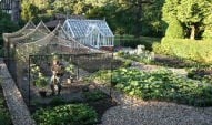 Stephanie's Kitchen Garden Diary - January 2006