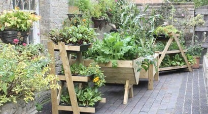 The Manor House Garden