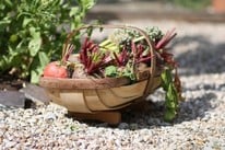 What to Grow