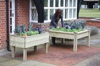 Where to Grow